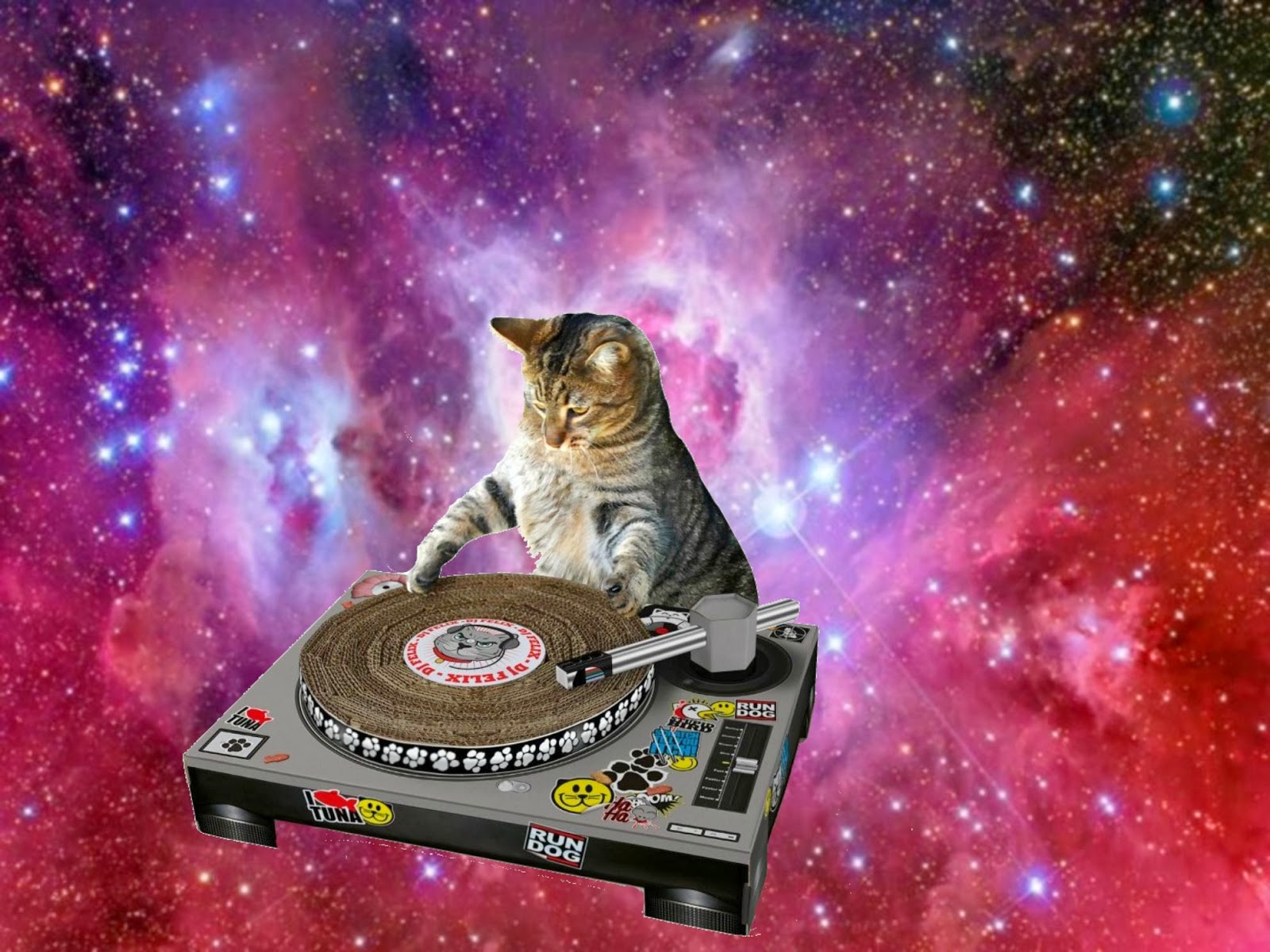 Кот-космолет космонавт кот юмор без смс