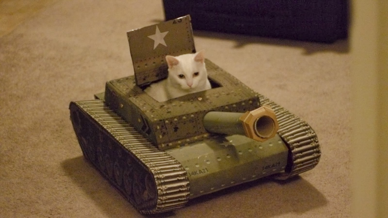 meow-I-mean-tanks